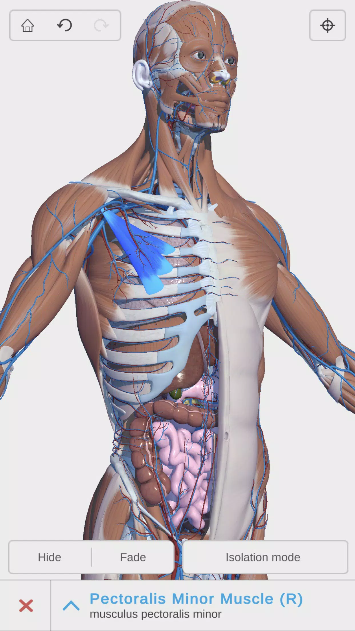 Human Anatomy APK Download for Android Free