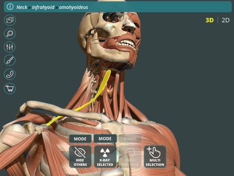 Visual Anatomy 3D | Human screenshot 15