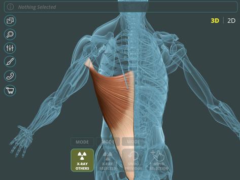Visual Anatomy 3D | Human screenshot 16