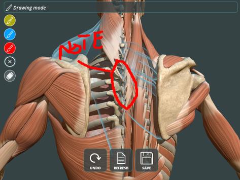 Visual Anatomy 3D | Human screenshot 10