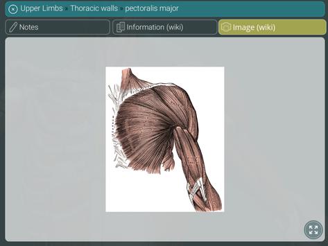 Visual Anatomy 3D | Human screenshot 20