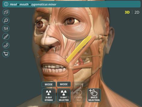 Visual Anatomy 3D | Human screenshot 8
