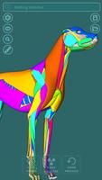 Visual Canine Anatomy 3D - lea Ekran Görüntüsü 2