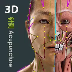Скачать Visual Acupuncture 3D XAPK
