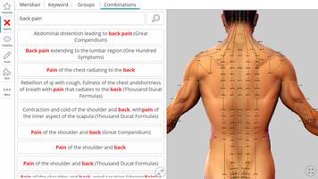 Visual Acupuncture imagem de tela 3