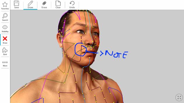 Visual Acupuncture 截图 11