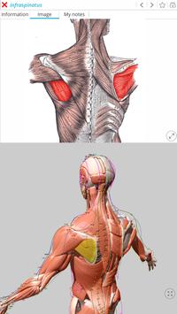Visual Acupuncture 截图 2