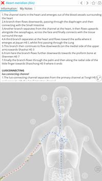 Visual Acupuncture 截图 7