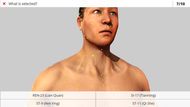 Visual Acupuncture 截图 4
