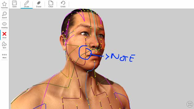 Visual Acupuncture 截图 5