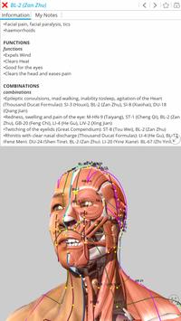 Visual Acupuncture 截图 6