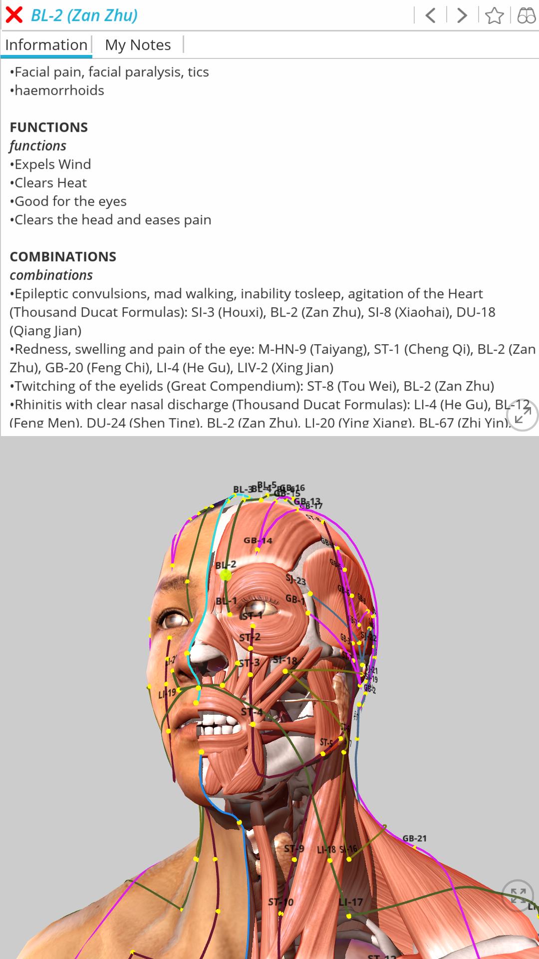 acupunctura vizuala