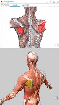 Visual Acupuncture 截图 8