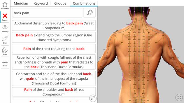 Visual Acupuncture 截图 9