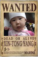 Wanted Poster Maker ภาพหน้าจอ 2