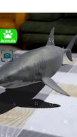 AR 3D Animals Affiche