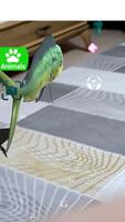 AR 3D Animals screenshot 1