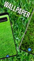 Grass Wallpaper 스크린샷 3