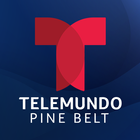 Telemundo Pine Belt WDAM-SP icône