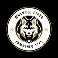 Wolvyle Fixed Combined Tips