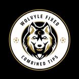 Wolvyle Fixed Combined Tips