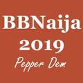 BB Naija 2019 - Pepper Dem