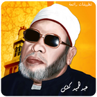 الشيخ عبد الحميد كشك - كشك  محاضرات icono