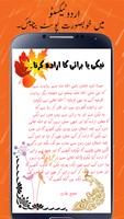 Urdu Texto capture d'écran 1