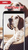 Great Dane Wallpaper screenshot 3