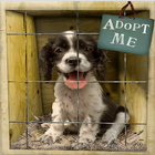 DOG ADOPTION أيقونة