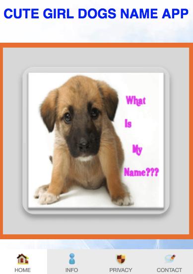 Cute Girl Dog Names App 2020 For Android Apk Download