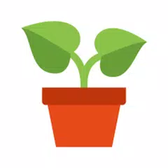 Plants Quiz