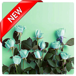 Green Aesthetic Wallpaper