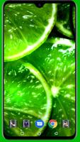 HD Green Wallpaper Cartaz