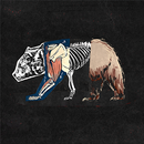 Aftershock Festival APK