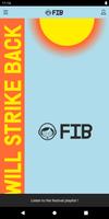 FIB screenshot 1