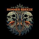 SUMMER BREEZE 2025 APK