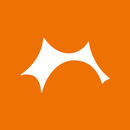 Roskilde Festival APK