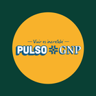 Pulso GNP icône