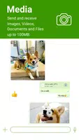 绿色 API 截图 2