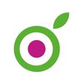 Green Apple Delivery