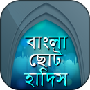 Bangla Hadith সহিহ বাংলা হাদিস APK