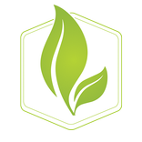 سلتي الخضراء