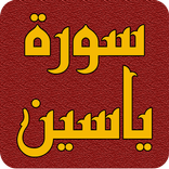 سورة ياسين بدون نت