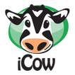 iCow v2