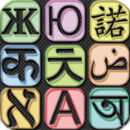 Chinese Translator/Dictionary APK
