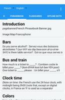 French Translator / Dictionary capture d'écran 2