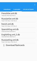 Russian Translator /Dictionary Screenshot 3
