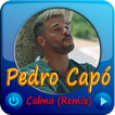 Calma (Remix) - Pedro Capó Musica