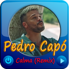 Calma (Remix) - Pedro Capó Musica Zeichen